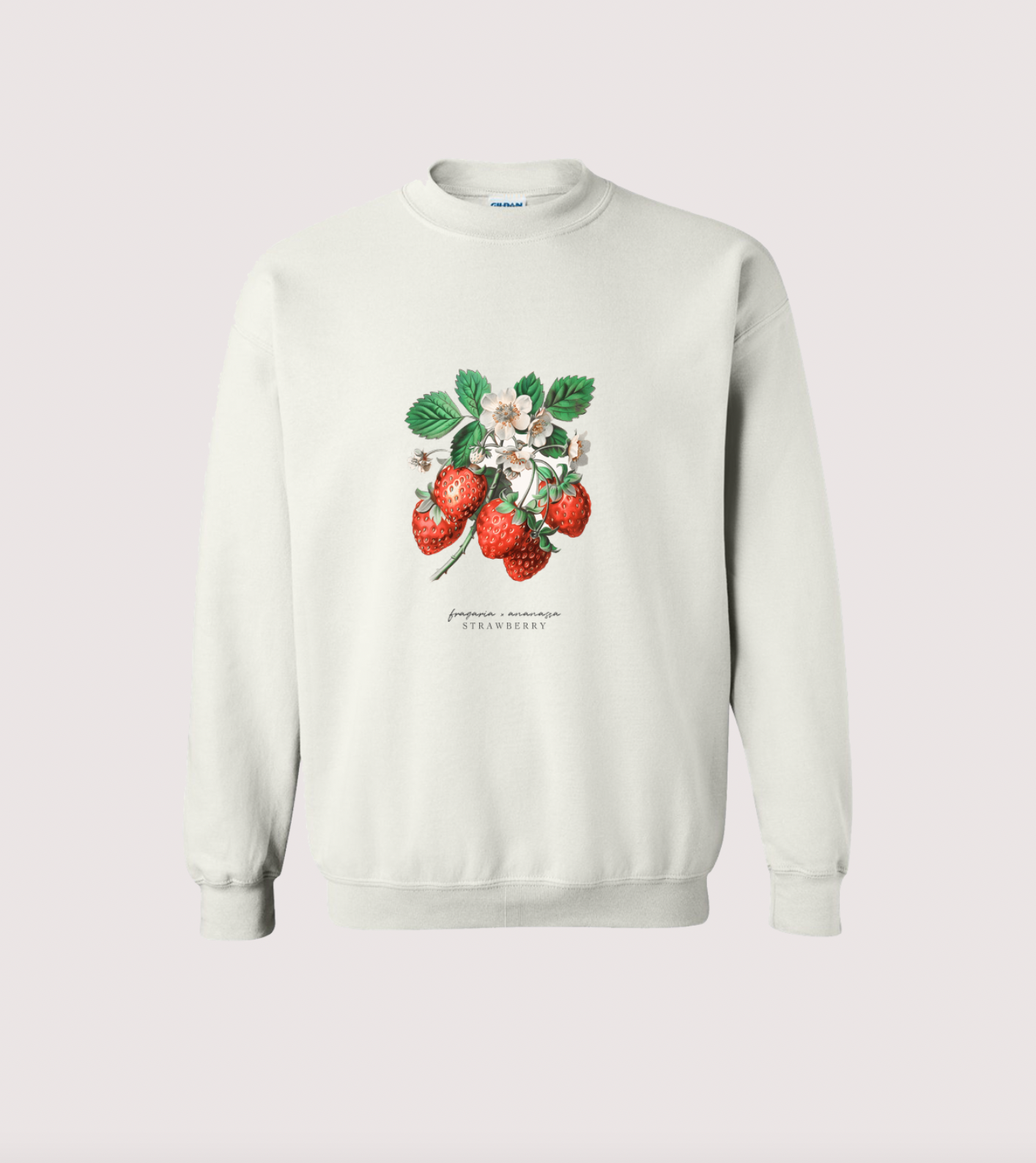 Strawberry Fruit Botanical Tee Shirt Sweatshirt