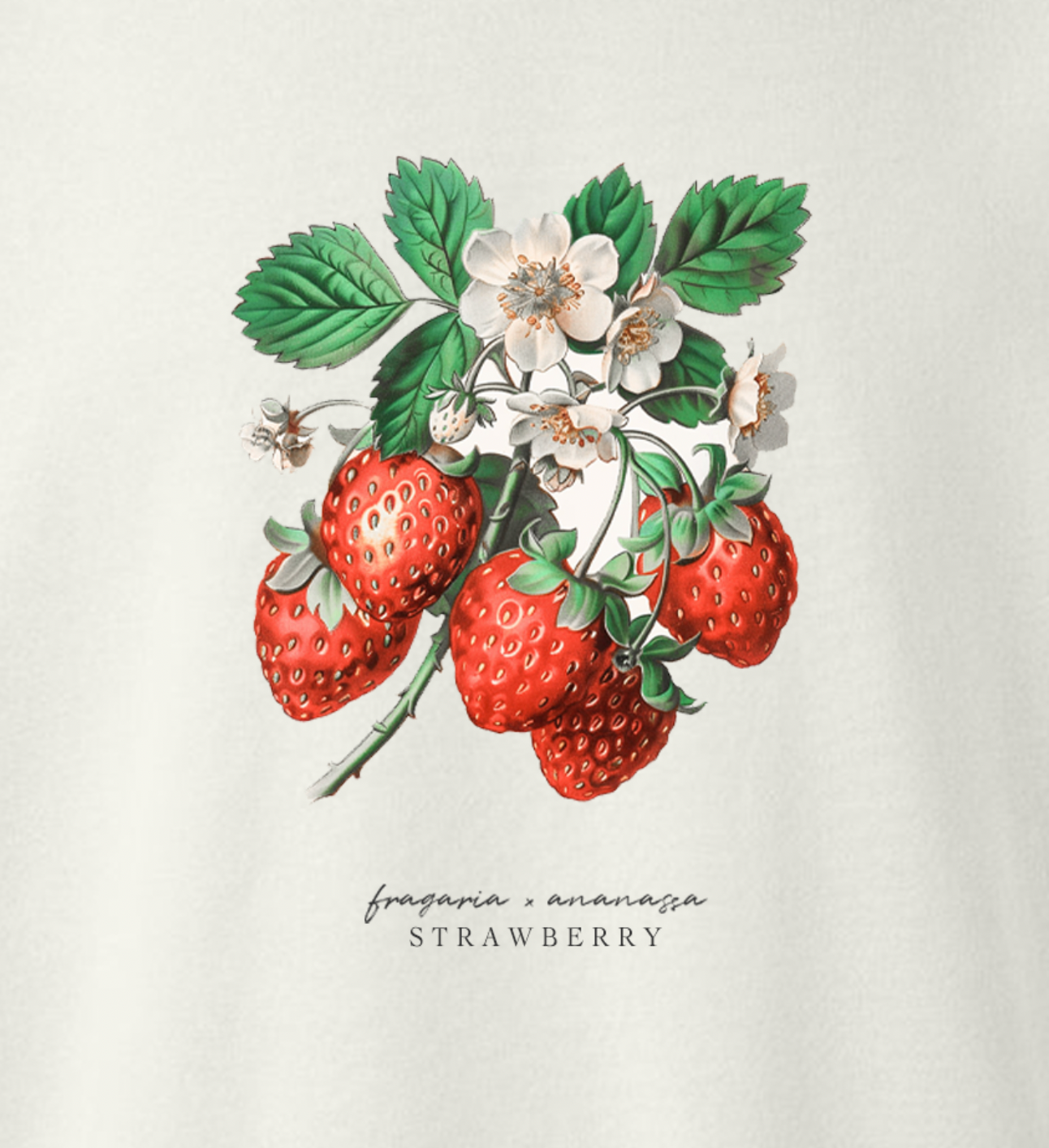 Strawberry Fruit Botanical Tee Shirt Sweatshirt