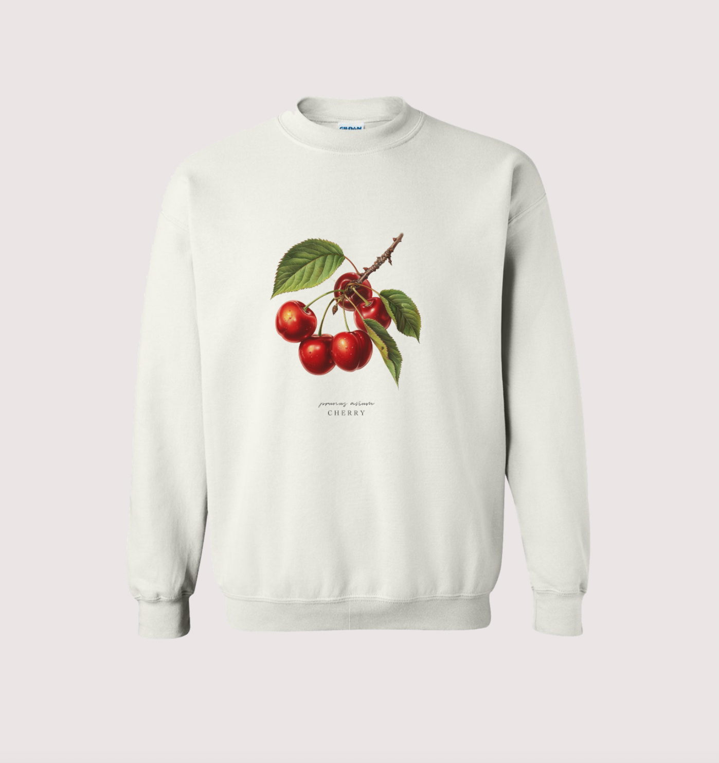 Cherry Fruit Botanical Tee Shirt Sweatshirt