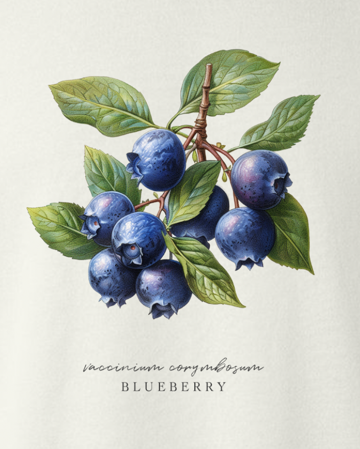 Blueberry Fruit Botanical Tee Shirt Sweatshirt